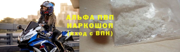 индика Мегион