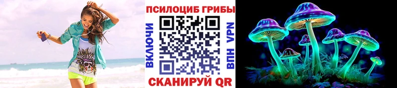 MEGA сайт  Гусь-Хрустальный  Псилоцибиновые грибы Cubensis  купить наркоту 