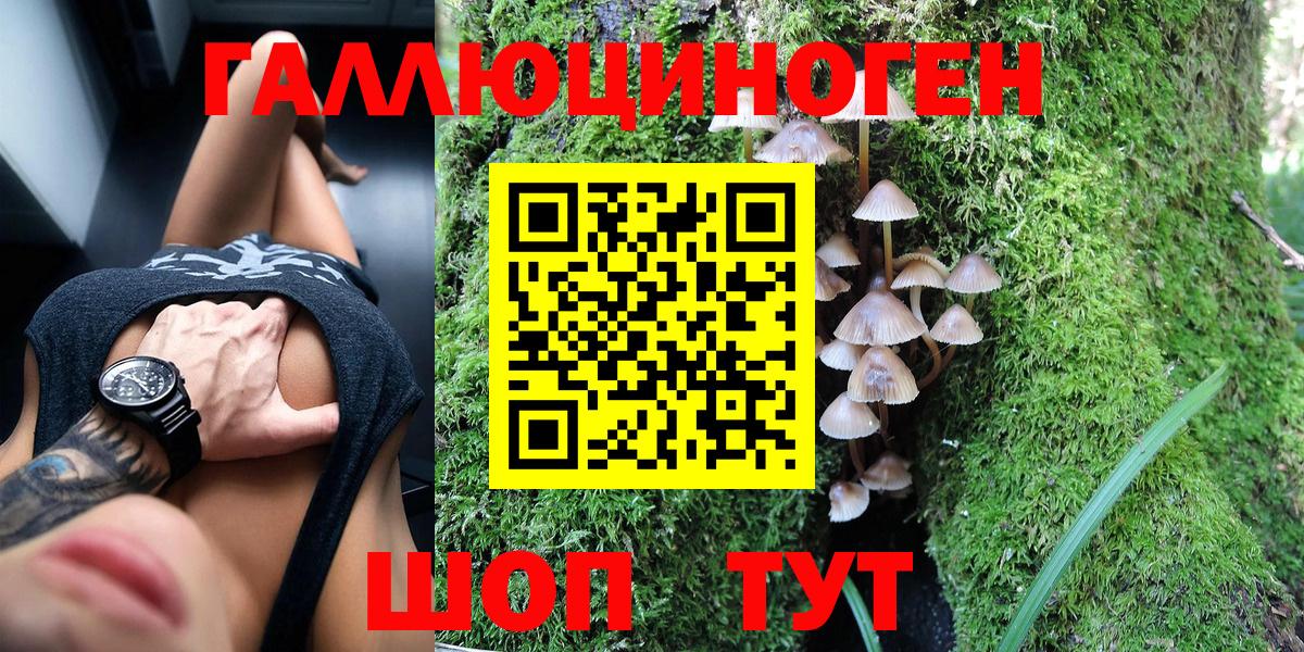 Псилоцибиновые грибы Magic Shrooms  купить наркотики сайты  Галлюциногенные грибы мицелий  Гусь-Хрустальный 