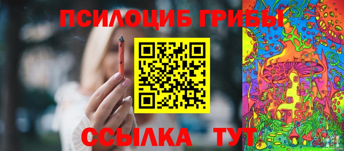 Псилоцибиновые грибы GOLDEN TEACHER  Псилоцибиновые грибы MAGIC MUSHROOMS  Гусь-Хрустальный  Вход с VPN 