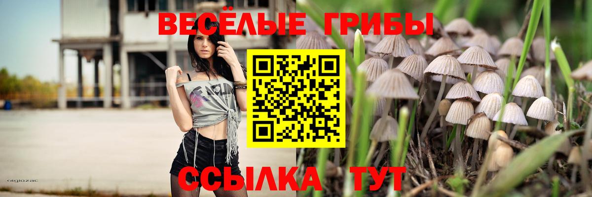 Галлюциногенные грибы ЛСД Гусь-Хрустальный